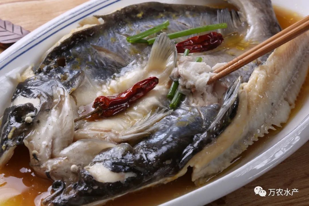 淡水魚(yú)價(jià)格持續(xù)上漲，深加工鮰魚(yú)產(chǎn)品優(yōu)勢(shì)明顯